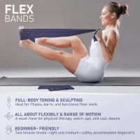 15-Inch Pilates Circle Set with Core Ball, 3 Resistant Loops & 2 Flex Bands — Compact Home Pilates Kit(m-6)