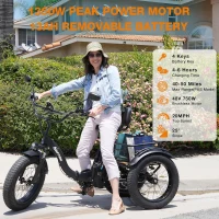 Narrak Folding Electric Tricycle for Adults — 750W (Peak 1350W), 48V13Ah UL Battery, 20x4"" Fat Tires, Differential Rear Motor, Hydraulic Brake System(m-5)