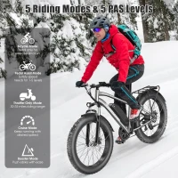Funhang Electric Bike for Adults - Peak 1000W Ebike, 26"" Fat Tire Mountain Bike, 25 MPH, 60 Mile Range, 48V 13Ah Battery, Rear Rack, Front Suspension, 7-Speed, UL 2849 Certified(m-6)