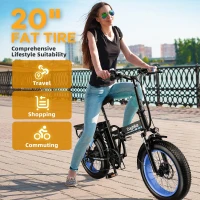 1000W Peak Folding Electric Bike, 48V 20Ah Removable Battery, 30+ MPH, 80-Mile Max Range, 20"" Fat Tire E-Bike(m-6)