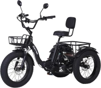 Narrak 3-Wheel Electric Trike — 750W (Peak 1350W) 48V13Ah Folding Fat-Tire Ebike, 20""x4"" Aluminum Frame, Hydraulic Brakes & Rear Differential, Max 20 MPH(m-1)