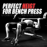 RITFIT Adjustable Weight Bench — Multi-Position Incline/Decline/Flat Bench for Home Gym, 1300 lb Capacity(m-8)