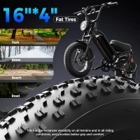 Electric Dirt Bike for Adults – 2000W/1500W Peak Motor Ebike with 20""/16""x4"" Fat Tires, 48V Removable Battery, All-Terrain Dual Suspension(m-5)