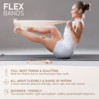 15"" Pilates Ring Kit with Core Ball, 3 Resistance Loops & 2 Flex Bands — Home Mat Pilates Essentials with Large Exercise Poster(m-6)