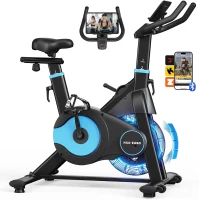 HXD-ERGO Indoor Magnetic & Air Bike, Stationary Exercise Bike with Silent Belt Drive, App Compatibility, LCD Monitor, 350 lb Capacity(m-1)