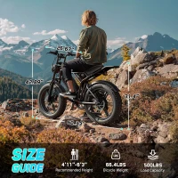 TST 20-inch Electric Dirt Bike for Adults — 750W/1500W Peak Motor, 28 MPH, 48V 15Ah/25Ah Removable Battery, Fat Tires, Hydraulic Suspension, 7-Speed(m-6)