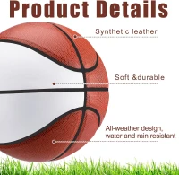 Liliful 2-Pack Official Size 7 Autograph Basketballs with 2 Stands, 2 Signature Pens and 1 Pump – Blank Panels for Trophies, Birthdays, Graduations(m-3)