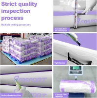 FBSPORT 10ft Inflatable Air Gymnastics Track Mat (4/8 in) with Electric Pump – Training, Home Use, Cheer & Yoga(m-6)