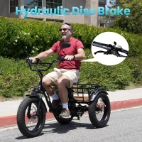 Narrak 3-Wheel Electric Trike — 750W (Peak 1350W) 48V13Ah Folding Fat-Tire Ebike, 20""x4"" Aluminum Frame, Hydraulic Brakes & Rear Differential, Max 20 MPH(m-3)