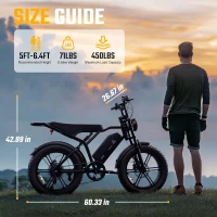 TST Electric Bike for Adults — 750W (1500W Peak) Motor, 28 MPH, 48V 25Ah Removable Battery, 20"" Fat Tires, Hydraulic Suspension, 7-Speed (Up to 100 Mile Range)(m-8)