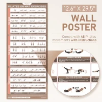 15"" Pilates Ring Kit with Core Ball, 3 Resistance Loops & 2 Flex Bands — Home Mat Pilates Essentials with Large Exercise Poster(m-3)