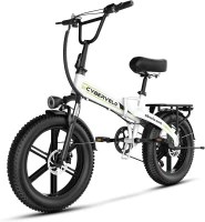 1000W Folding Electric Bike with 48V 20AH Removable Battery, 30+ MPH, 80 Mile Range, 20"" Fat Tire E-Bike for Adults(m-1)