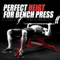 RITFIT Adjustable Weight Bench — Multi-Position Incline/Decline/Flat Home Gym Bench, 1300 lb Capacity(m-8)