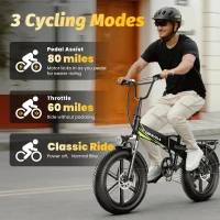 1000W Folding Electric Bike with 48V 20AH Removable Battery, 30+ MPH, 80 Mile Range, 20"" Fat Tire E-Bike for Adults(m-5)