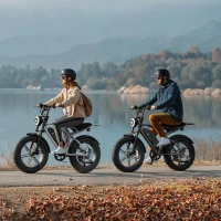 TST Electric Bike for Adults — 750W (1500W Peak) Motor, 28 MPH, 48V 25Ah Removable Battery, 20"" Fat Tires, Hydraulic Suspension, 7-Speed (Up to 100 Mile Range)(m-7)