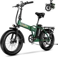 1000W Folding Electric Bike - 48V 20Ah Detachable Battery, 30+ MPH, 80-Mile Range, 20-inch Fat Tire, EABS Brakes & 7-Speed(m-1)
