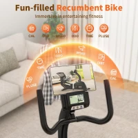 JEEKEE Recumbent Stationary Bike for Seniors — Home Exercise Bike, 300 lb Capacity, 16-Level Magnetic Resistance with Heart-Rate Handles(m-8)