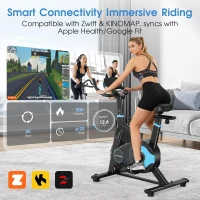 HXD-ERGO Indoor Magnetic & Air Bike, Stationary Exercise Bike with Silent Belt Drive, App Compatibility, LCD Monitor, 350 lb Capacity(m-4)