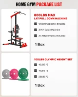 LS01 3-in-1 Lat Pulldown & Cable Row Tower with AB Crunch – Compact Pulley Station for Home Gym(m-2)