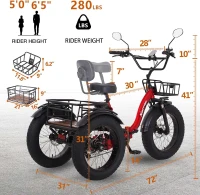 Narrak Folding Electric Tricycle for Adults — 750W (Peak 1350W), 48V13Ah UL Battery, 20x4"" Fat Tires, Differential Rear Motor, Hydraulic Brake System(m-2)