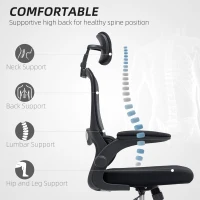 HOMCOM Ergonomic Mesh Office Chair, High Back Desk Chair with Rotatable Headrest, Flip-Up Armrests, Lumbar Support, Black(m-4)