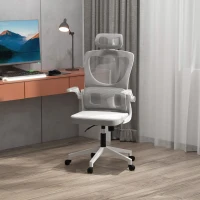 Vinsetto Ergonomic Office Chair with Auto-Adaptive Lumbar Support, High Back Desk Chair with Adjustable Headrest & Height, Rotatable Arm, Rocking Function for Office, Grey(m-8)