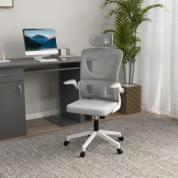 Vinsetto Ergonomic Office Chair, Mesh Computer Desk Chair with Adjustable Headrest, 4D Lumbar Support, Flip-up Arm, Grey