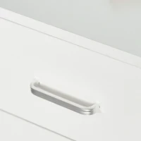 Vinsetto 2 Drawer File Cabinet with Lock and Keys, Mobile Vertical Filing Cabinet with Wheels and Drawers, Home Office Cabinet, White(m-11)