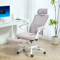 HOMCOM Ergonomic Office Chair, Mesh Reclining Desk Chair with Adjustable Lumbar Support, Headrest, Grey(m-1)
