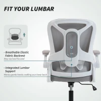 HOMCOM Ergonomic Office Chair, Swivel Desk Chair with Adjustable Lumbar Support and Height, Flip-up Armrests, Wheels, Grey(m-5)