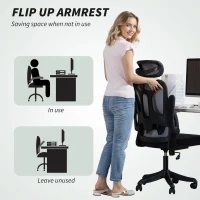 HOMCOM Ergonomic Office Chair, Swivel Desk Chair with Adjustable Lumbar Support, Headrest and Height, Flip-up Armrests, Black(m-7)