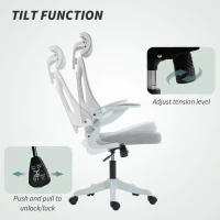 HOMCOM Ergonomic Office Chair, Swivel Desk Chair with Adjustable Lumbar Support, Headrest and Height, Flip-up Armrests, Grey(m-9)