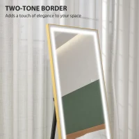 HOMCOM LED Mirror with Dimmable and 3 Colour Lights, 64" x 21" Rectangular Floor Mirror for Bedroom Living Room, Gold(m-7)