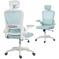 HOMCOM Ergonomic Mesh Office Chair, High Back Desk Chair with Rotatable Headrest, Flip-Up Armrests, Lumbar Support, Light Green(m-11)