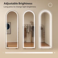 HOMCOM Free Standing Mirror with Dimmable and 3 Colour LED Lights 64" x 21" Arched Floor Mirror for Bedroom Living Room, Clear(m-5)