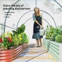 Outsunny Polytunnel Greenhouse with Roll-up Door and Mesh Window, Walk-in Grow House Tent with Steel Frame, 3 x 2 x 2 m, Clear(m-9)