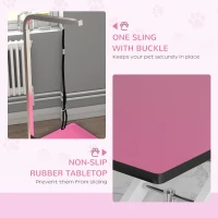 PawHut Pet Grooming Table, Height Adjustable Dog Grooming Table with Arm, Noose and Non-Slip Grooming Table, Pink(m-5)