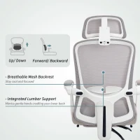 HOMCOM Ergonomic Office Chair, Mesh Reclining Desk Chair with Adjustable Lumbar Support, Headrest, Grey(m-5)