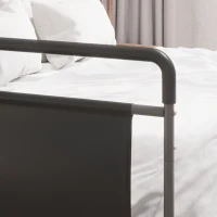 HOMCOM Bed Rail for Adults Safety, Height Adjustable Bed Assist Rail Grab Bar with Storage Pocket, Grey(m-9)