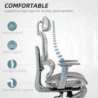 HOMCOM Mesh Office Chair with 3D Armrest, High Back Desk Chair with Lumbar Support, 135° Reclining, Adjustable Headrest, Grey(m-4)