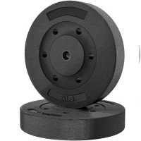 Soozier Weight Plates Set of 2, 1-Inch Barbell Weight Set for Home Gym Strength Training and Weightlifting, 2 x 22 lbs(m-2)