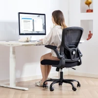 HOMCOM Ergonomic Mesh Office Chair with 4D Lumbar Support, Swivel Desk Chair with Flip-up Armrests, Tilt Function, Black(m-10)