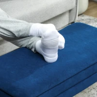 HOMCOM 31" Storage Ottoman, Velvet End of Bed Bench with Steel Legs, Foot Stool with Storage for Bedroom, Living Room(m-10)