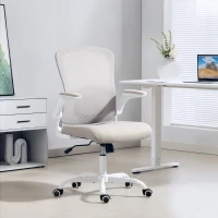 HOMCOM Ergonomic Mesh Office Chair with 4D Lumbar Support, Swivel Desk Chair with Flip-up Armrests, Tilt Function, Grey(m-1)