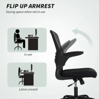 HOMCOM Ergonomic Mesh Office Chair with 4D Lumbar Support, Swivel Desk Chair with Flip-up Armrests, Tilt Function, Black(m-5)