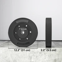 Soozier Weight Plates Set of 2, 1-Inch Barbell Weight Set for Home Gym Strength Training and Weightlifting, 2 x 22 lbs(m-3)