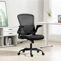 HOMCOM Ergonomic Mesh Office Chair with 4D Lumbar Support, Swivel Desk Chair with Flip-up Armrests, Tilt Function, Black(m-1)