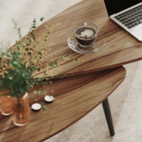 HOMCOM 2 Pieces Coffee Table Set for Living Room, Industrial Nest of Tables with Steel Legs, Brown(m-10)