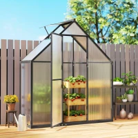 Outsunny Polycarbonate Greenhouse Walk-in Greenhouse with Swing Door and Adjustable Window, 5.5 x 6.5ft, Black(m-9)