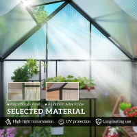 Outsunny Polycarbonate Greenhouse Walk-in Greenhouse with Swing Door and Adjustable Window, 5.5 x 6.5ft, Black(m-5)